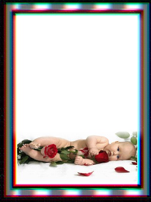 rosas  rosas Photo frame effect