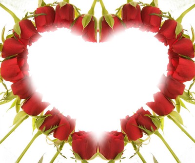Сердце из роз Фотомонтажа