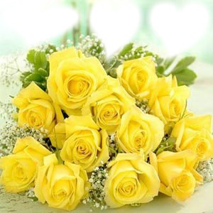 Roses jaune Fotomontaža