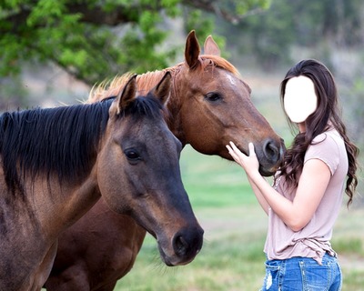 Girl with horses "Face" Photo frame effect