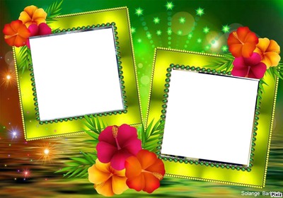 marco verde transparente 2 fotos y flores Fotomontáž