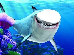 tiburon rosa Fotomontaggio