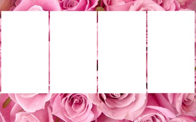 frames roses Montage photo