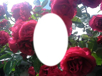 roses Fotomontažas