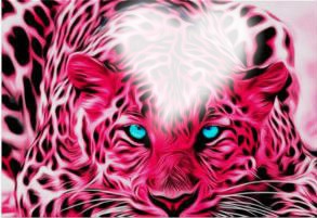 TIGRE ROSA Fotomontage