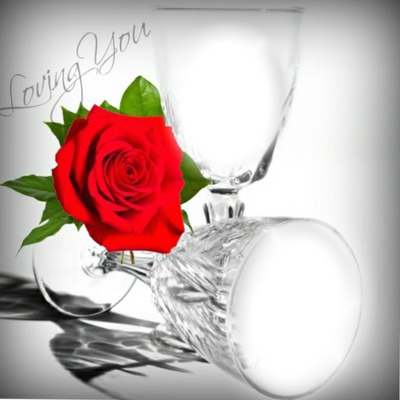 Roses rouge Fotomontáž