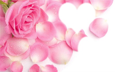 petales de rose Photo frame effect