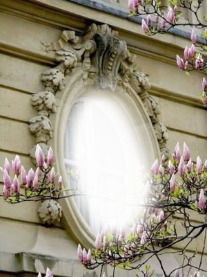 Cadre avec magnolias Valokuvamontaasi