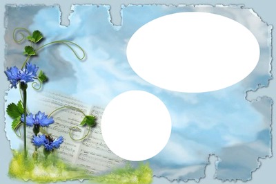 cadre fleur bleue Fotómontázs