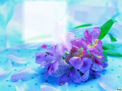 Cadre fleurs Фотомонтаж