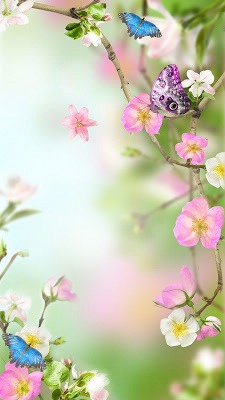 çiçekler Fotomontasje