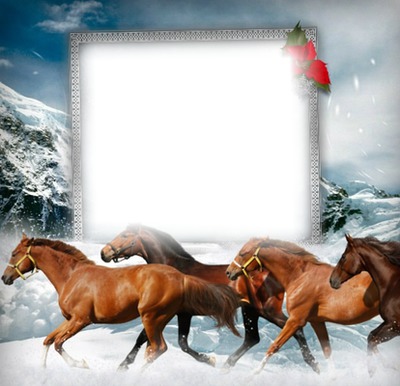 Cadre chevaux Fotomontáž