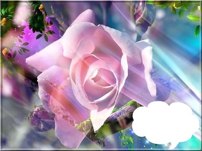 rose12 Photomontage