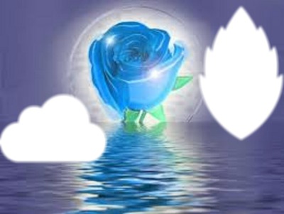 rose bleue Fotomontasje