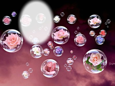 roses bulles Φωτομοντάζ