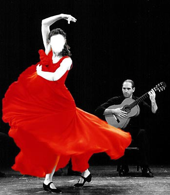 flamenco Fotomontaggio