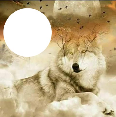 WOLF Photo frame effect