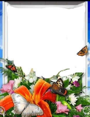 renewilly marco flores y mariposas Fotomontage