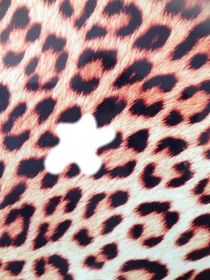 leopard Fotomontage