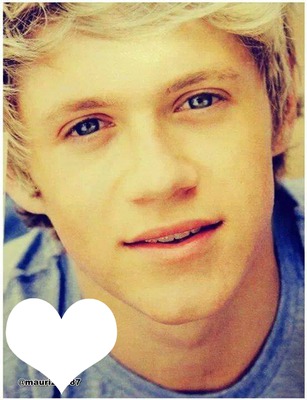 Niall De One Direction Montage photo