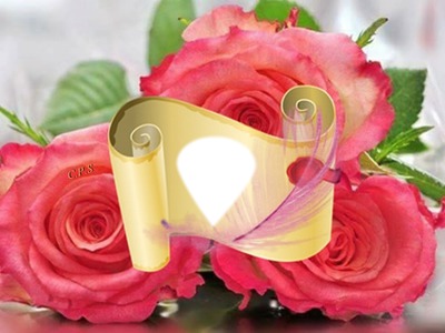 Rosas con pergamino Photo frame effect