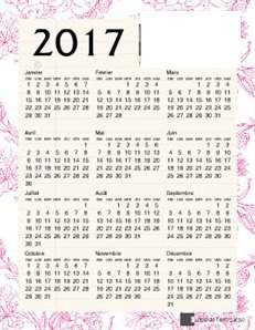 calendrier 2017 Fotomontaggio