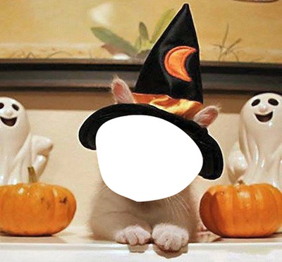 halloween animal Fotomontaža