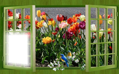 Nature Photo frame effect