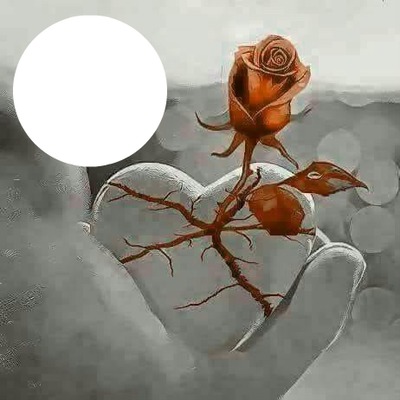bronze rose Valokuvamontaasi