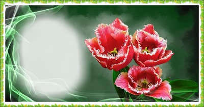 Schenk Blumen Fotomontage