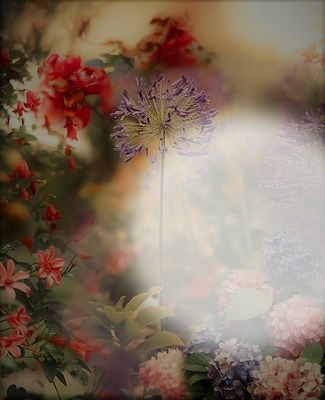 flower frame Fotomontasje