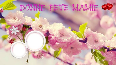 Bonne fête Mamie Фотомонтаж