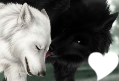 l'amour d'un loup Fotomontaža