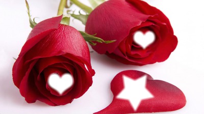 rosas y corazon フォトモンタージュ