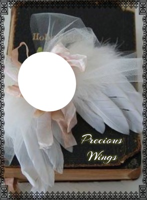 wings Photo frame effect