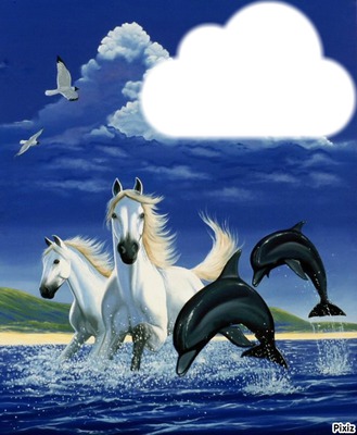 chevaux et dauphins Photomontage