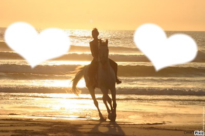 Amoureux chevaux Fotomontaż