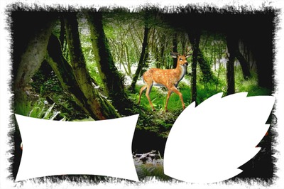 bambi Photo frame effect