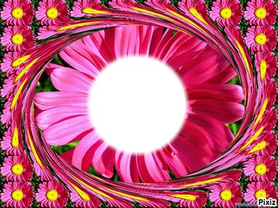 cadre fleurs Photomontage