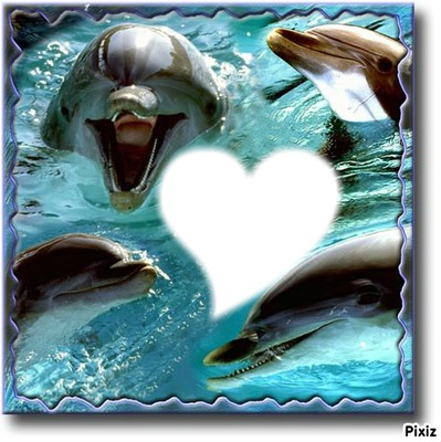 love dophin Fotomontažas