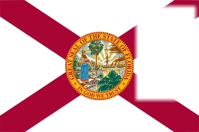 Florida flag Montaje fotografico