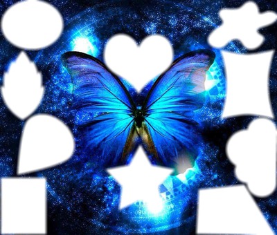 blue mariposa Fotomontage