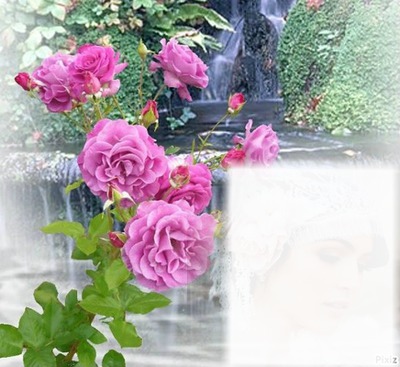 Les roses Fotomontage