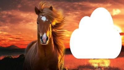 cheval Photo frame effect