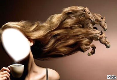 cheveux en chevaux Montaje fotografico