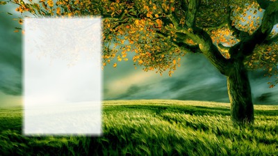 Nature - arbre Photo frame effect
