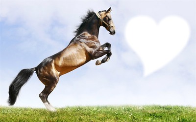 love chevaux Montaje fotografico