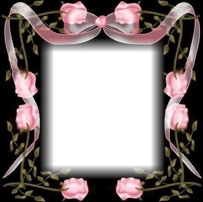 pretty pink roses & ribbons Montage photo