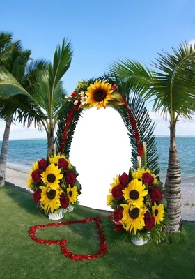 decoración, arco de palmeras en paisaje marino. Fotomontaža