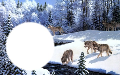 Wölfe im Winter Φωτομοντάζ
